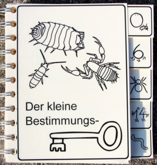 bestimmungsschluessel